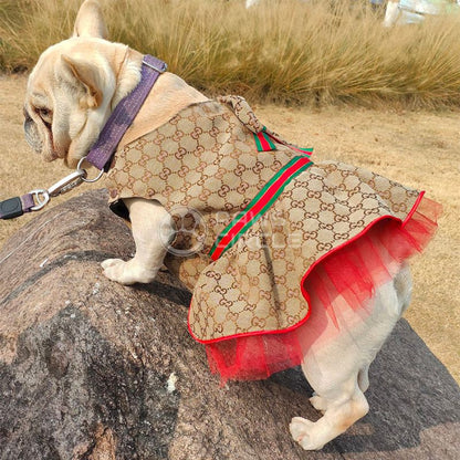 Monogram dog dress