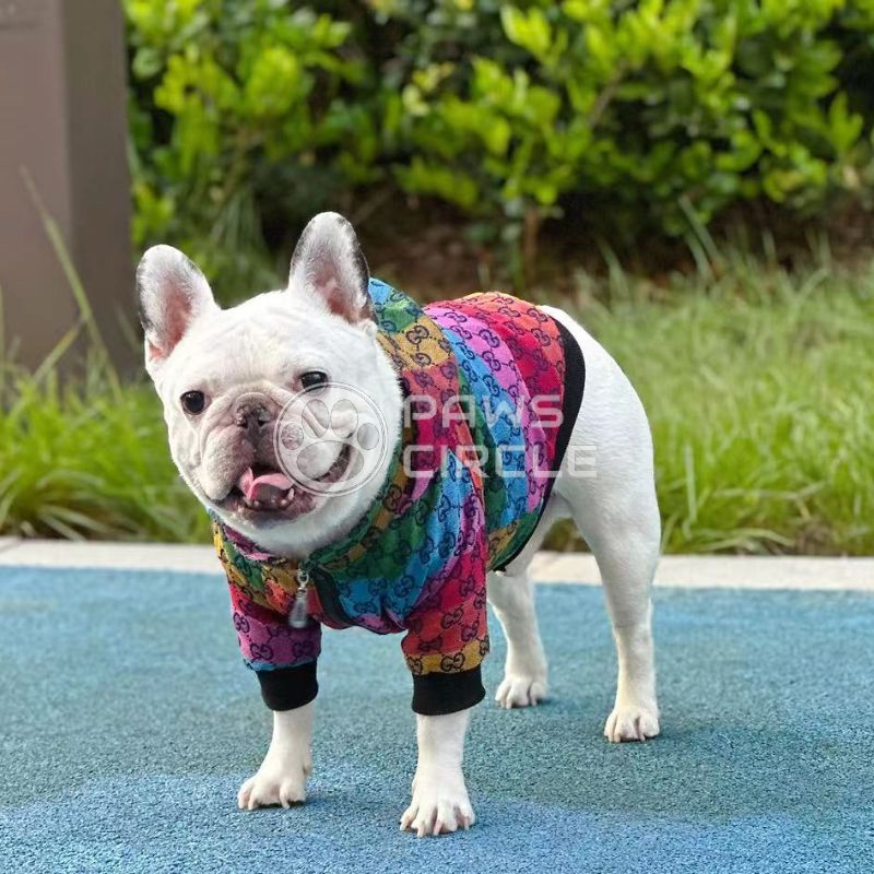 monogram dog jumper