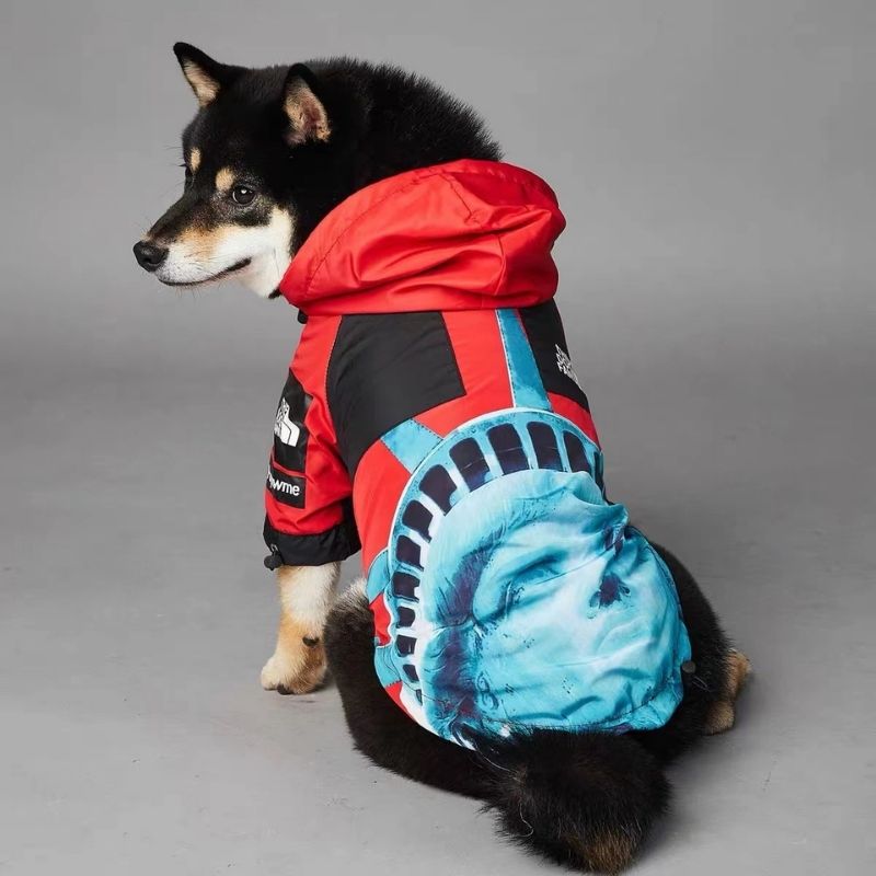 liberty graphic dog windbreaker