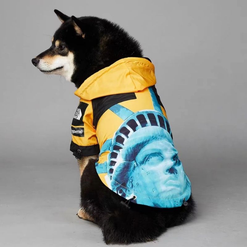 liberty graphic dog windbreaker