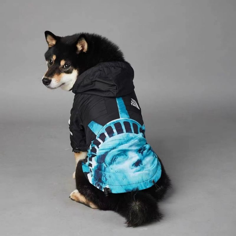 liberty graphic dog windbreaker