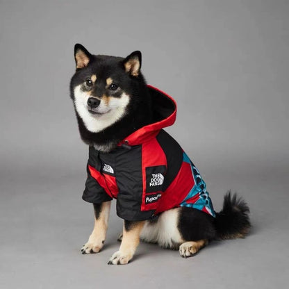 liberty graphic dog windbreaker