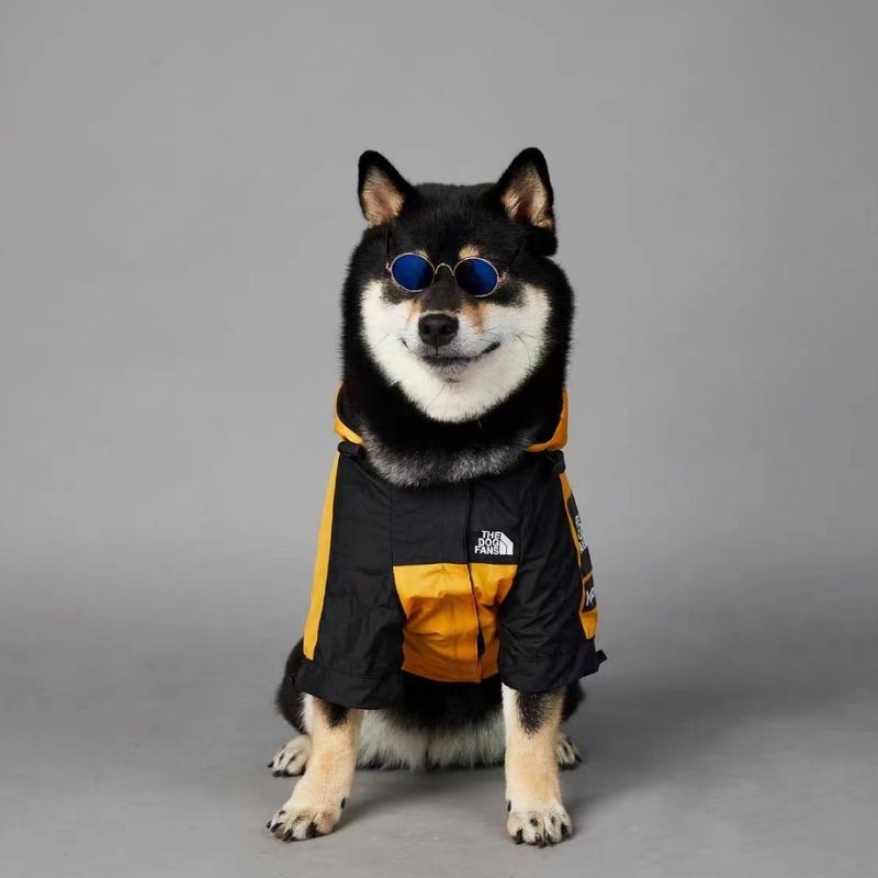 liberty graphic dog windbreaker