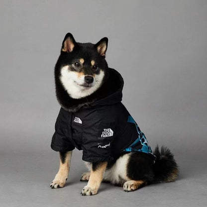 liberty graphic dog windbreaker