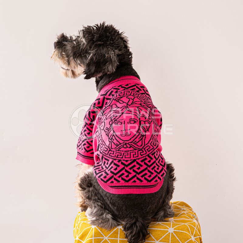 medusa sweater for dog