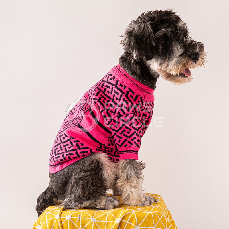 medusa sweater for dog