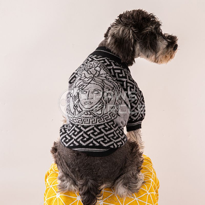 medusa sweater for dog