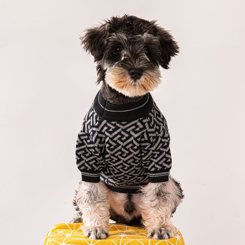 medusa sweater for dog