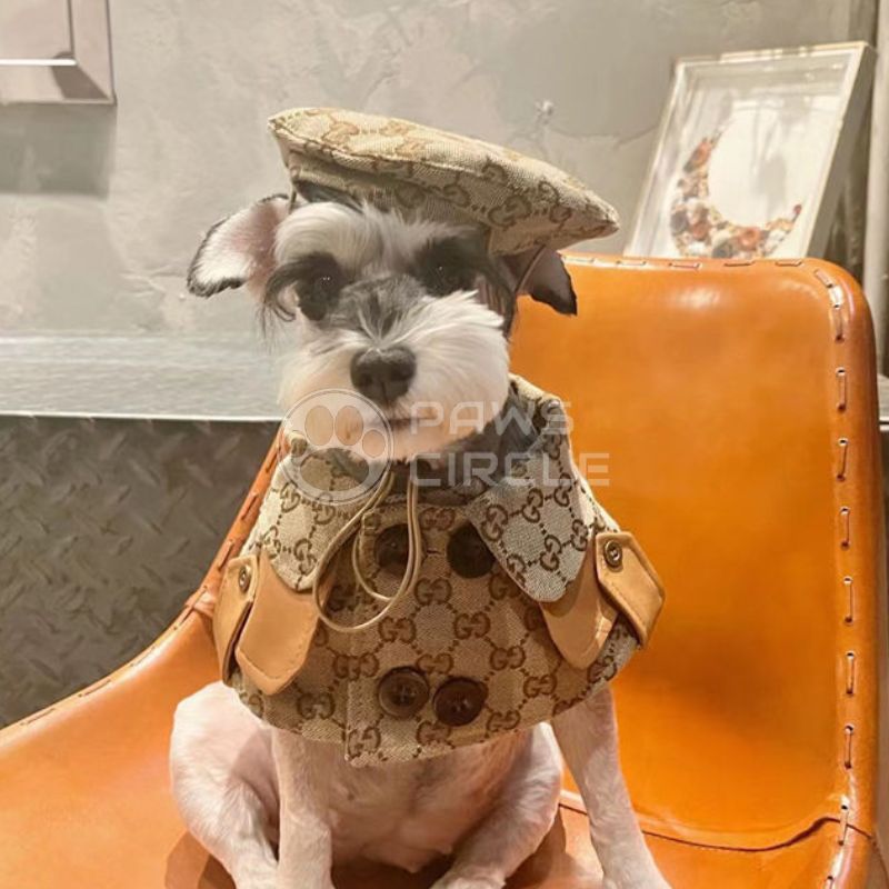 DOGS HAT AND CAPE