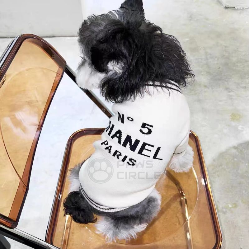 no 5 sweater for dog