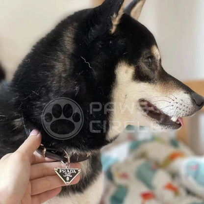 Prado Paw Studded Collar & Leash