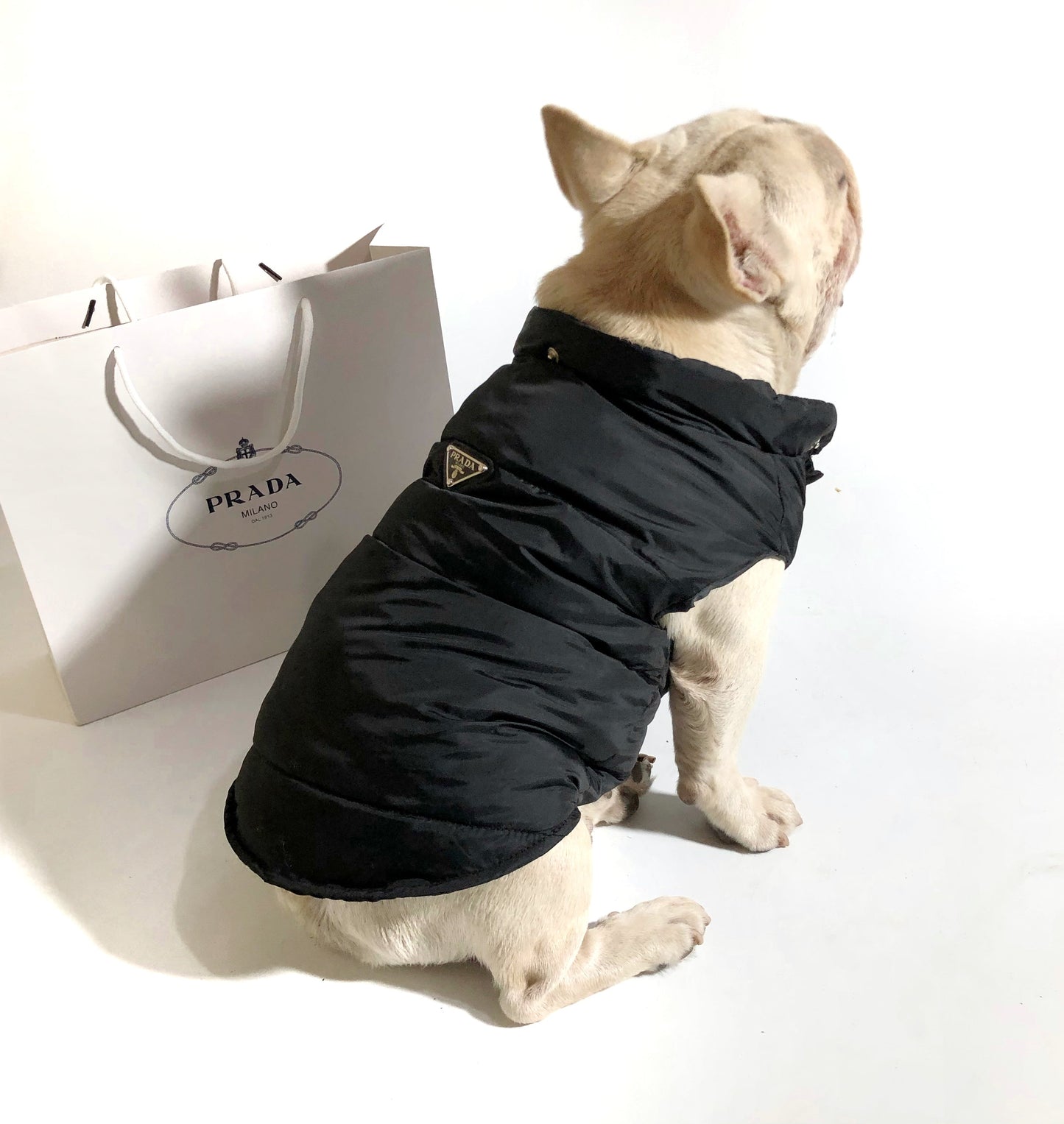 puffer dog coat with hood