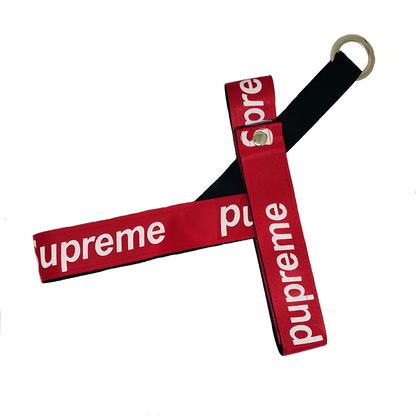 Superdog Classic Harness & Leash Set