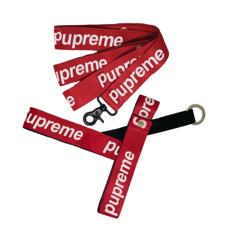 Superdog Classic Harness & Leash Set