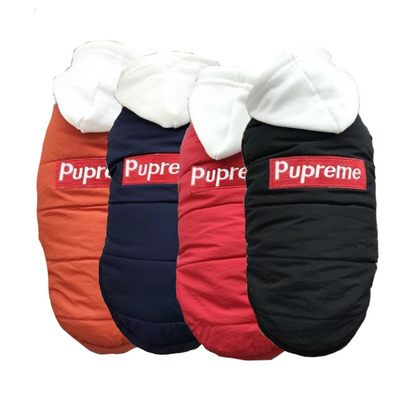Box Logo Sleeveless Hooded Down Jacket