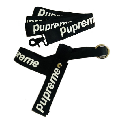 Dog harness and leash set