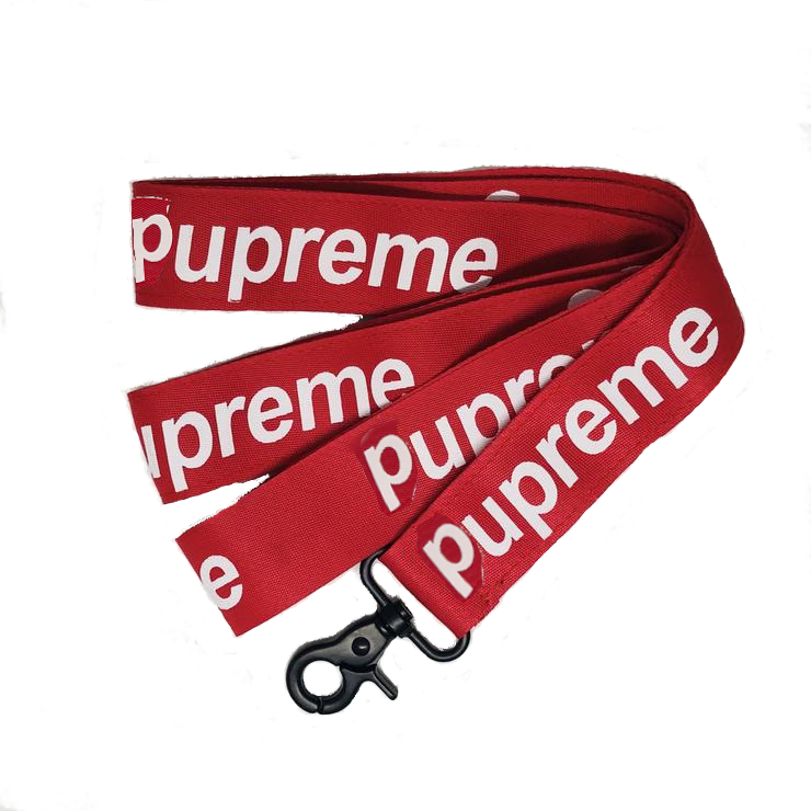 Dog harness and leash set