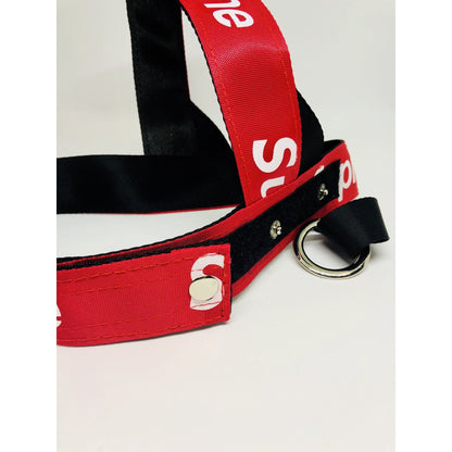 Dog harness and leash set