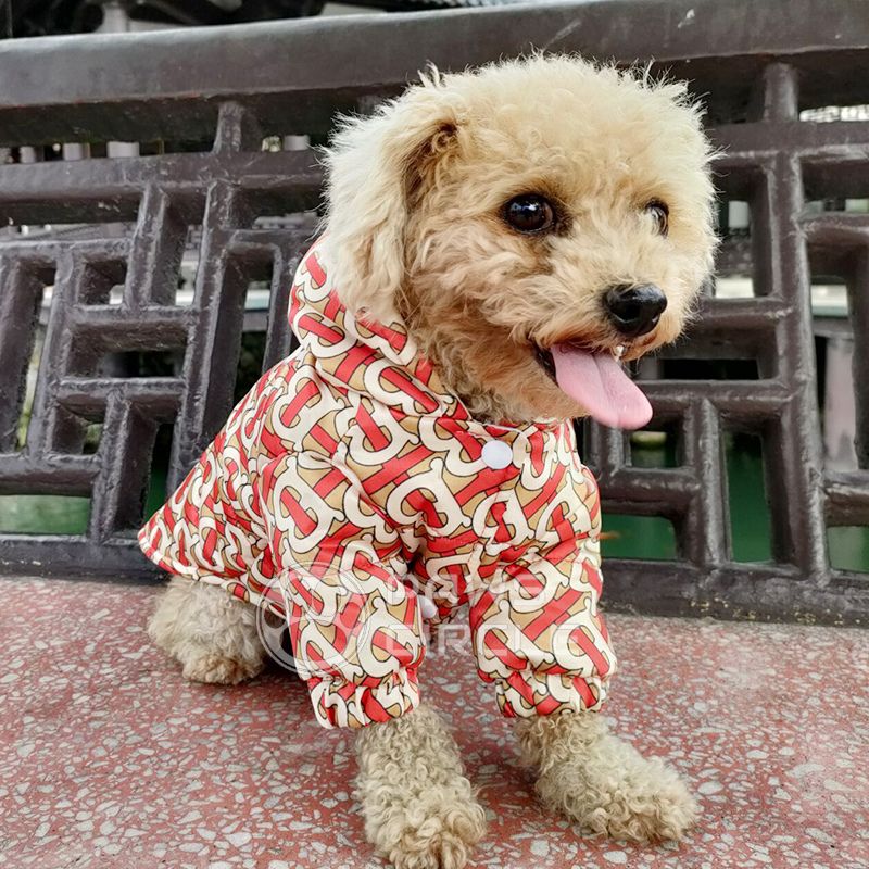 TB jacket for dogs