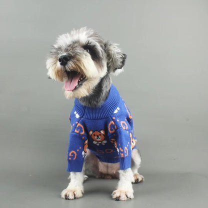 Teddy Bear Dog Blue Sweater