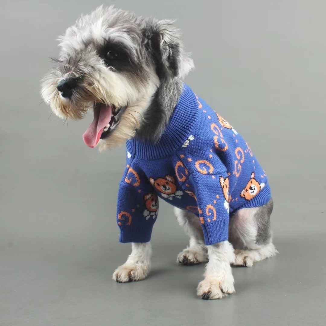 Teddy Bear Dog Blue Sweater