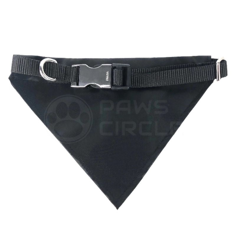 black dog bandana