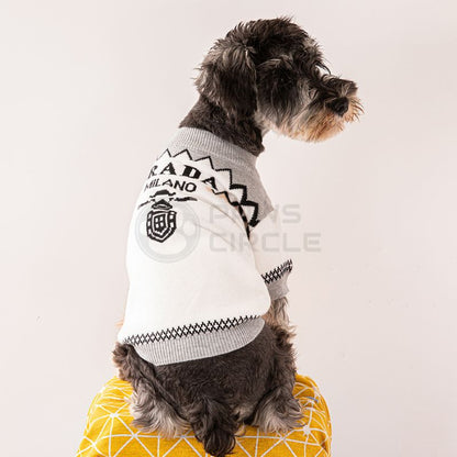 luxury sweater for dog