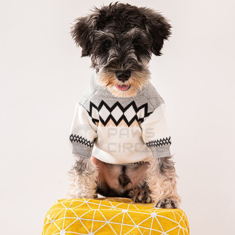 luxury sweater for dog