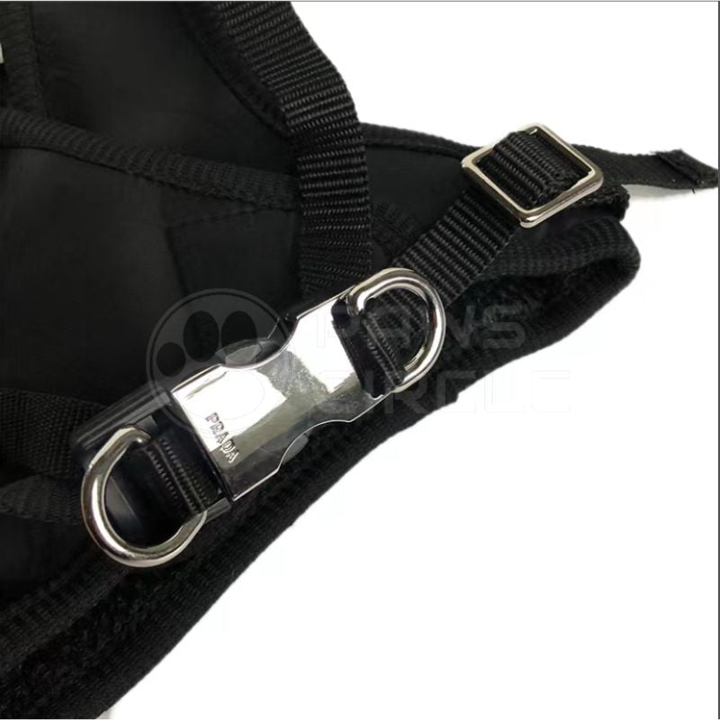 Nylon dog Walking Set