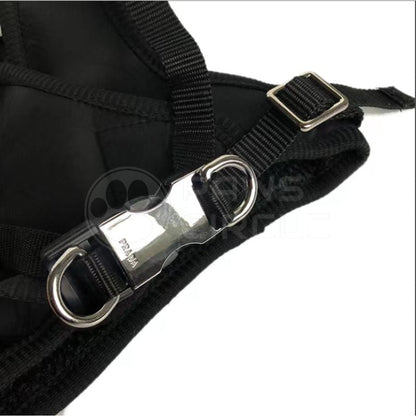 Nylon dog Walking Set