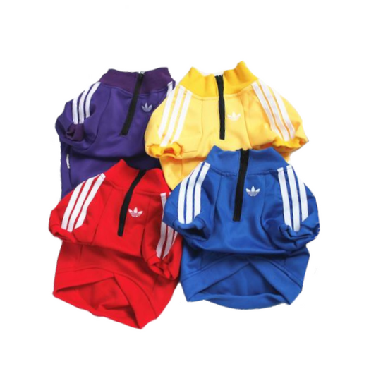 pet jacket for dog or cat