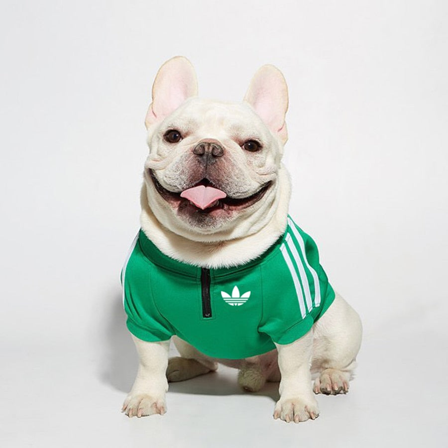 pet jacket for dog or cat