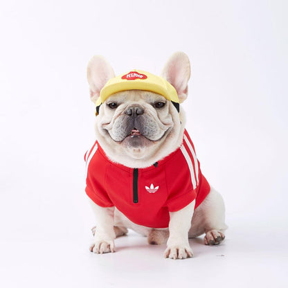 pet jacket for dog or cat