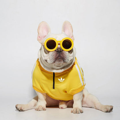 pet jacket for dog or cat