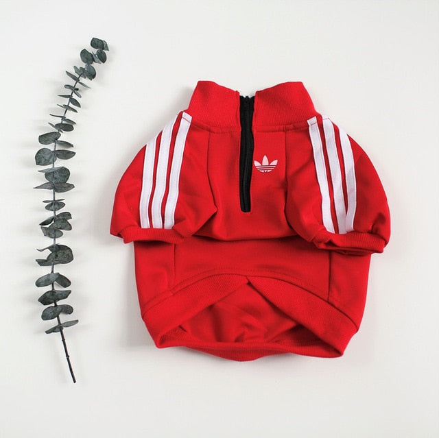 pet jacket for dog or cat