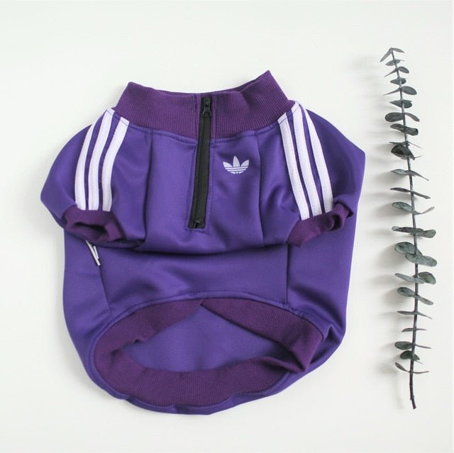 pet jacket for dog or cat