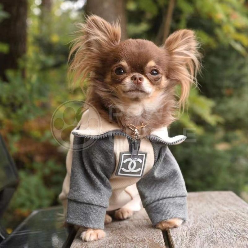 turtle neck dog sweater