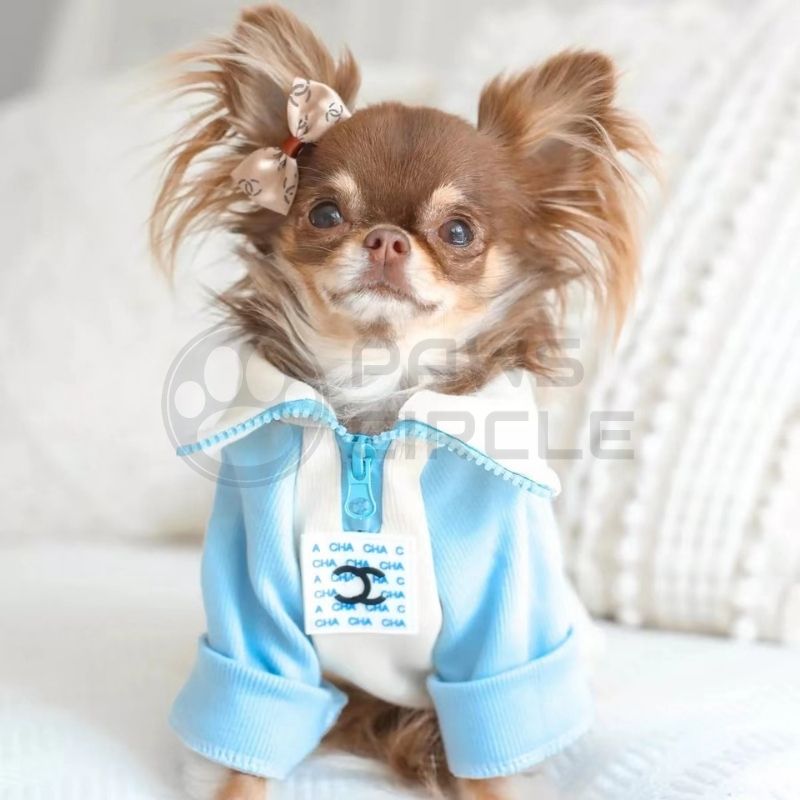 turtle neck dog sweater