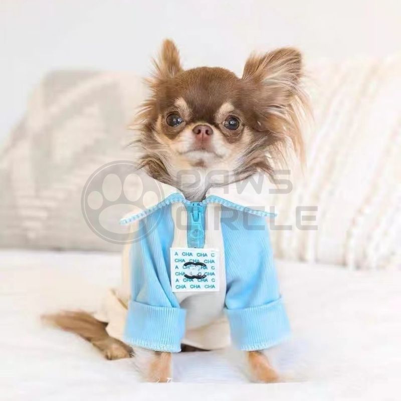 turtle neck dog sweater