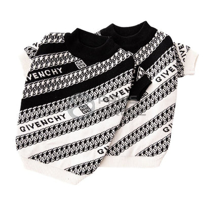 Chain sweater for dog