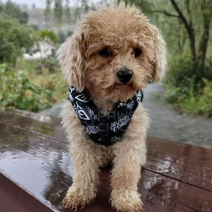 luxury jacket for dog