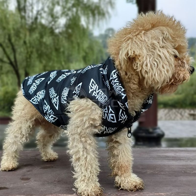 luxury jacket for dog