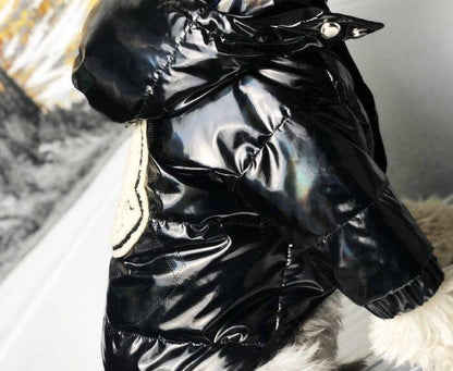 Moncler down jacket for dog