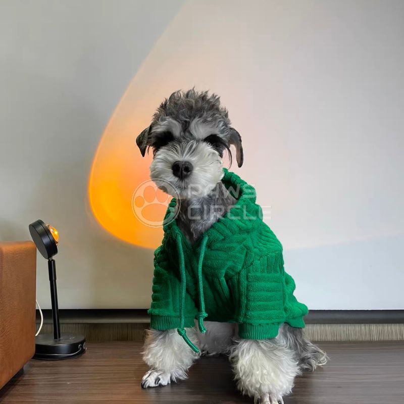 BV for dog