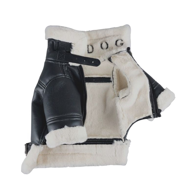 leather dog jacket