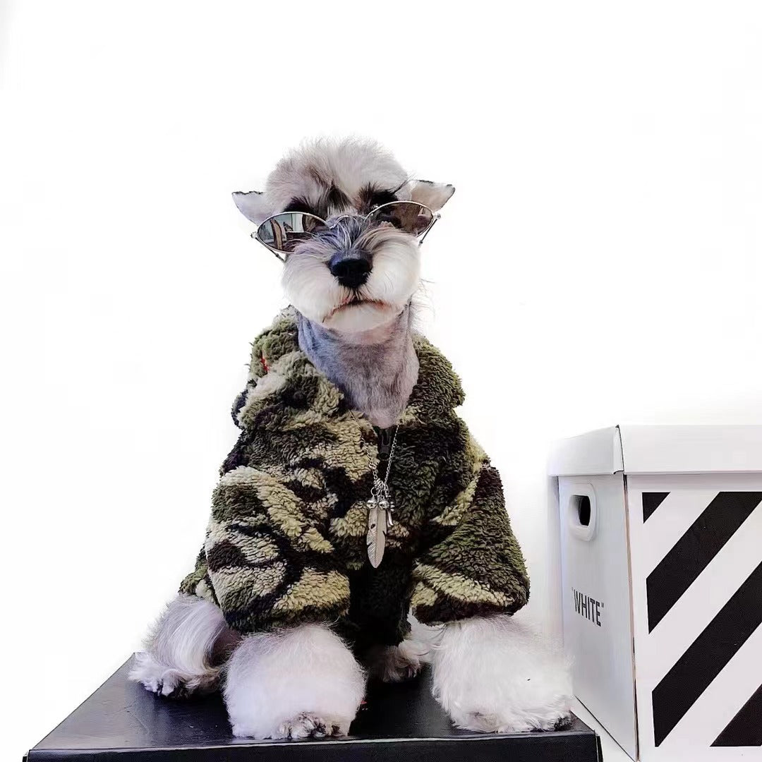 dog fashion